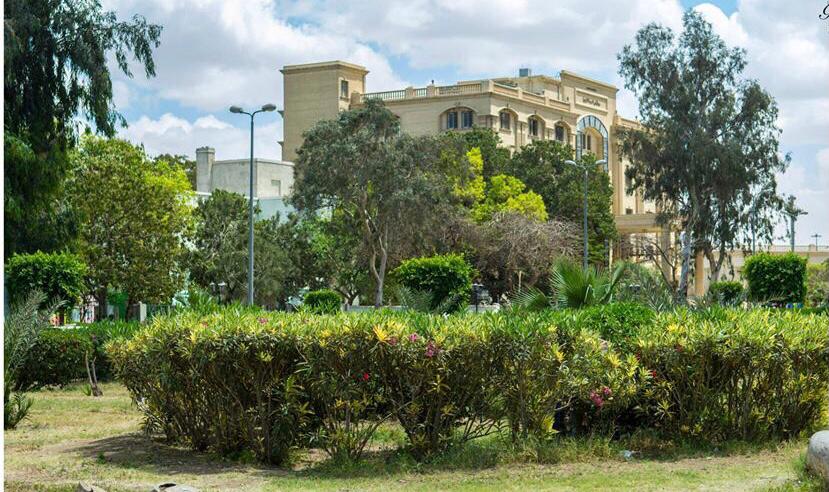 مستشفى العباسيه