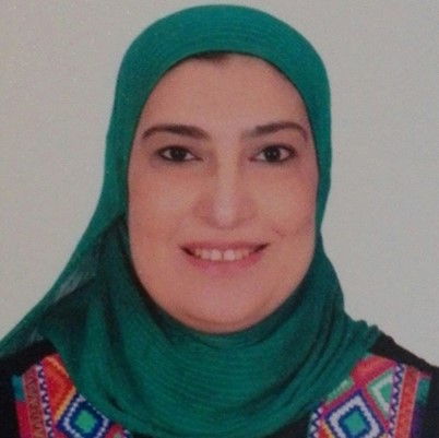 Professor Nesrine Mohsen