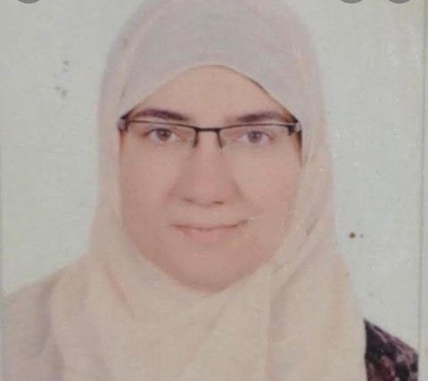 Professor Hanan Azzam