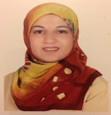 Professor Nermine Shaker