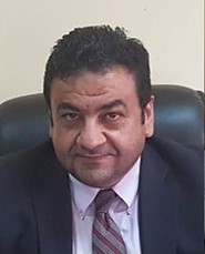 Professor Hany Hamed